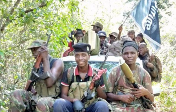 The development of the gas sector in Mozambique is being threatened by terrorist groups