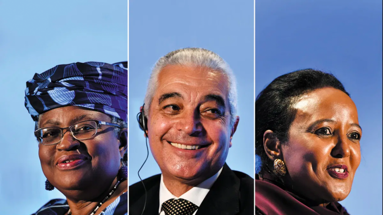 World Trade Organisation: Africans leading the chase for the Director General role