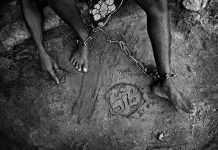 The boy in the chicken coup + other best reads of the week