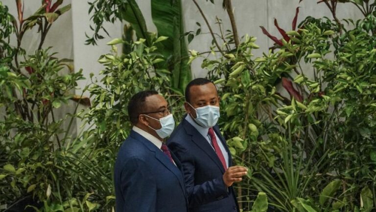 Ethiopia to plant 20 billion trees by 2022, Namibia issues travel documents to children of gay couple | 5 Things That Should Matter Today